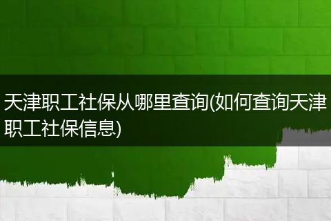天津职工社保从哪里查询(如何查询天津职工社保信息)