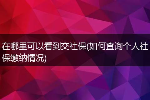 在哪里可以看到交社保(如何查询个人社保缴纳情况)