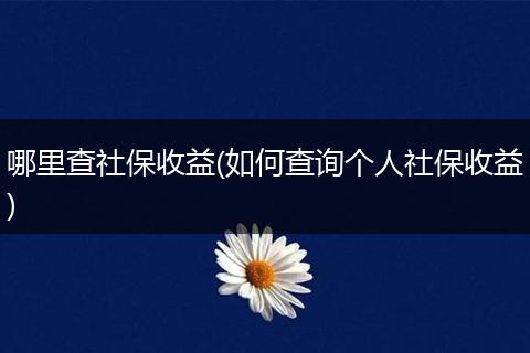 哪里查社保收益(如何查询个人社保收益)