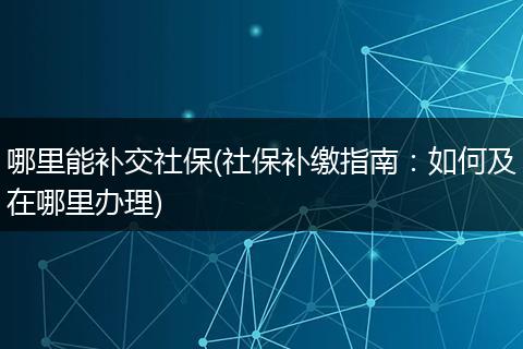 哪里能补交社保(社保补缴指南：如何及在哪里办理)
