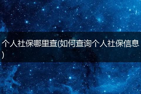 个人社保哪里查(如何查询个人社保信息)