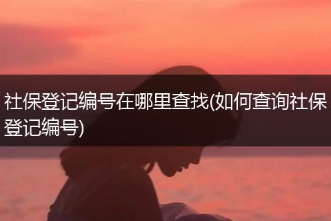 社保登记编号在哪里查找(如何查询社保登记编号)