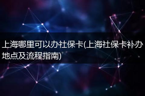 上海哪里可以办社保卡(上海社保卡补办地点及流程指南)