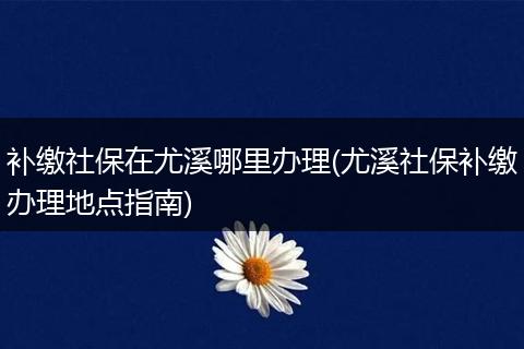 补缴社保在尤溪哪里办理(尤溪社保补缴办理地点指南)