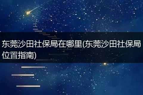 东莞沙田社保局在哪里(东莞沙田社保局位置指南)