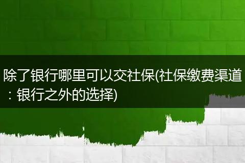 除了银行哪里可以交社保(社保缴费渠道：银行之外的选择)
