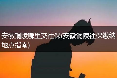 安徽铜陵哪里交社保(安徽铜陵社保缴纳地点指南)