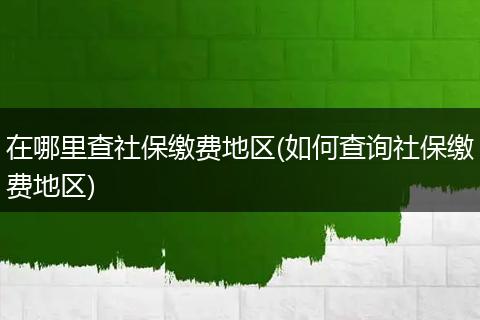 在哪里查社保缴费地区(如何查询社保缴费地区)