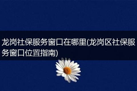 龙岗社保服务窗口在哪里(龙岗区社保服务窗口位置指南)