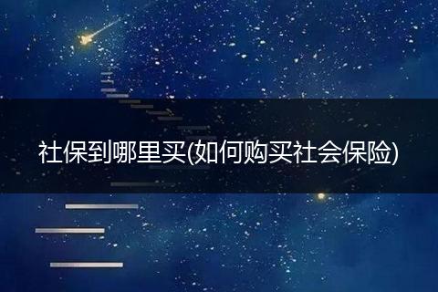 社保到哪里买(如何购买社会保险)