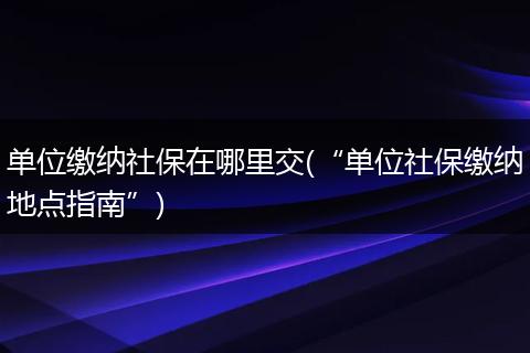 单位缴纳社保在哪里交(“单位社保缴纳地点指南”)