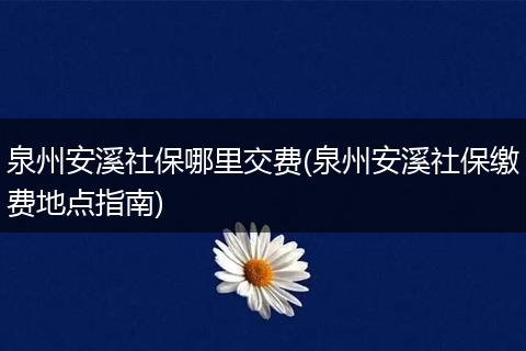 泉州安溪社保哪里交费(泉州安溪社保缴费地点指南)
