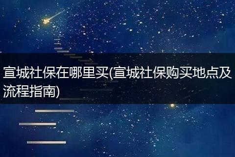 宣城社保在哪里买(宣城社保购买地点及流程指南)