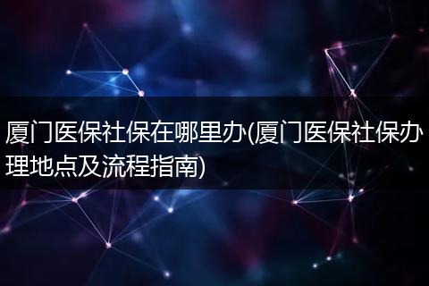 厦门医保社保在哪里办(厦门医保社保办理地点及流程指南)