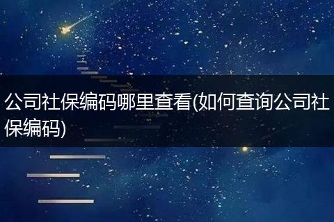 公司社保编码哪里查看(如何查询公司社保编码)