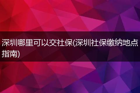 深圳哪里可以交社保(深圳社保缴纳地点指南)