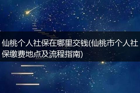 仙桃个人社保在哪里交钱(仙桃市个人社保缴费地点及流程指南)