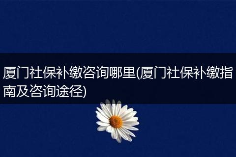 厦门社保补缴咨询哪里(厦门社保补缴指南及咨询途径)