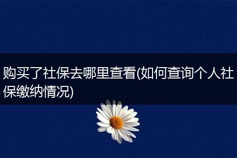 购买了社保去哪里查看(如何查询个人社保缴纳情况)