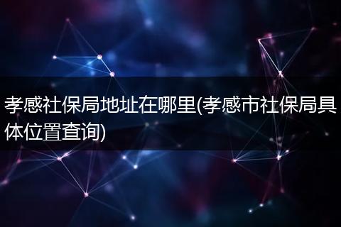 孝感社保局地址在哪里(孝感市社保局具体位置查询)