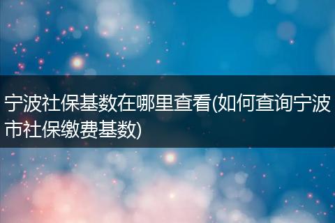 宁波社保基数在哪里查看(如何查询宁波市社保缴费基数)