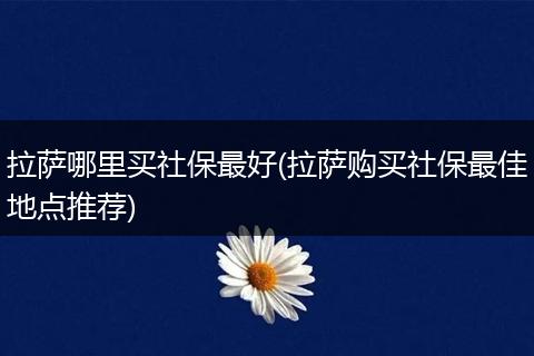 拉萨哪里买社保最好(拉萨购买社保最佳地点推荐)