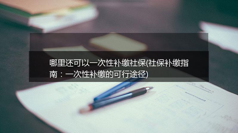 哪里还可以一次性补缴社保(社保补缴指南：一次性补缴的可行途径)