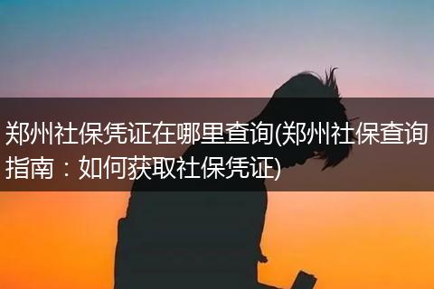 郑州社保凭证在哪里查询(郑州社保查询指南：如何获取社保凭证)
