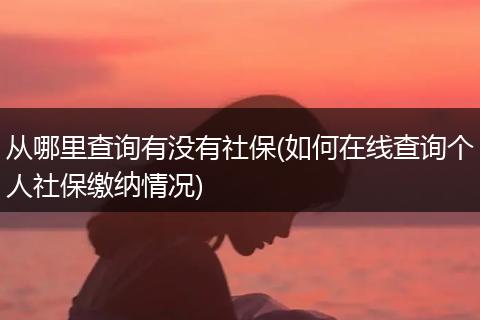 从哪里查询有没有社保(如何在线查询个人社保缴纳情况)