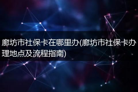 廊坊市社保卡在哪里办(廊坊市社保卡办理地点及流程指南)