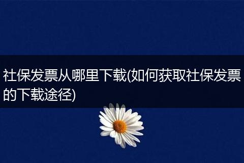 社保发票从哪里下载(如何获取社保发票的下载途径)