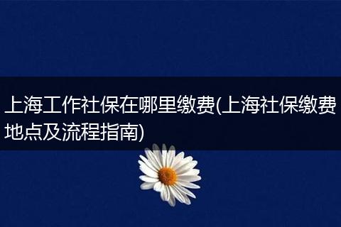 上海工作社保在哪里缴费(上海社保缴费地点及流程指南)