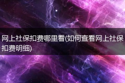 网上社保扣费哪里看(如何查看网上社保扣费明细)