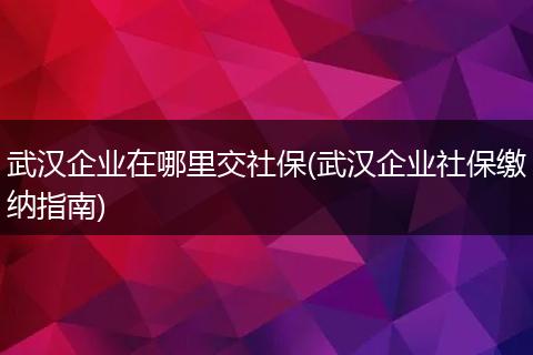 武汉企业在哪里交社保(武汉企业社保缴纳指南)