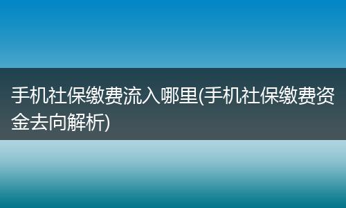 手机社保缴费流入哪里(手机社保缴费资金去向解析)