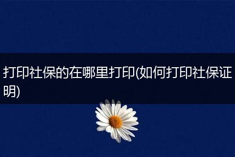 打印社保的在哪里打印(如何打印社保证明)