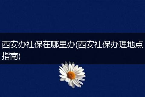 西安办社保在哪里办(西安社保办理地点指南)