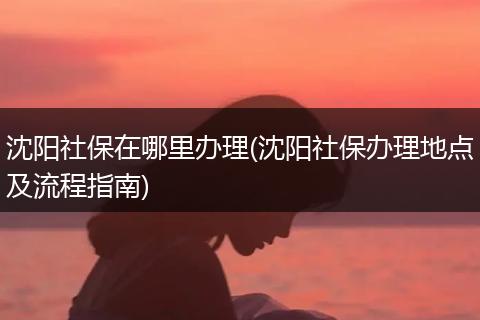 沈阳社保在哪里办理(沈阳社保办理地点及流程指南)