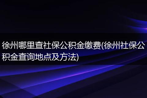 徐州哪里查社保公积金缴费(徐州社保公积金查询地点及方法)