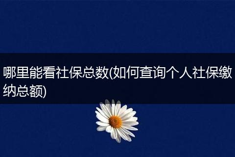 哪里能看社保总数(如何查询个人社保缴纳总额)