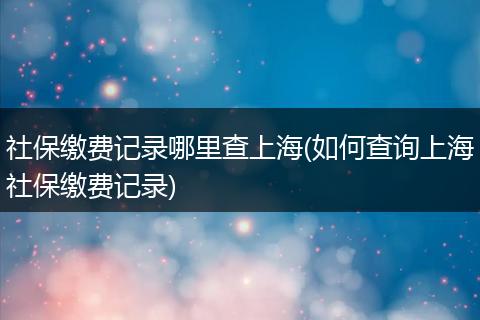 社保缴费记录哪里查上海(如何查询上海社保缴费记录)
