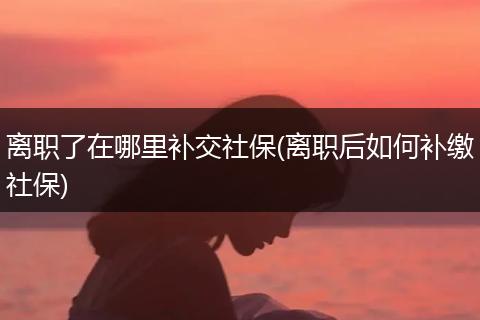 离职了在哪里补交社保(离职后如何补缴社保)