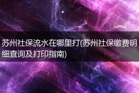 苏州社保流水在哪里打(苏州社保缴费明细查询及打印指南)