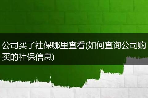 公司买了社保哪里查看(如何查询公司购买的社保信息)