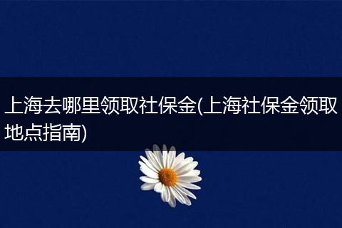 上海去哪里领取社保金(上海社保金领取地点指南)
