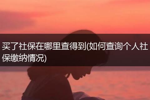 买了社保在哪里查得到(如何查询个人社保缴纳情况)