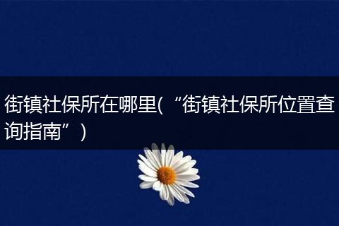街镇社保所在哪里(“街镇社保所位置查询指南”)