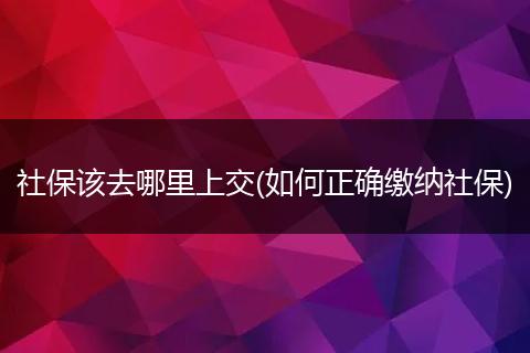 社保该去哪里上交(如何正确缴纳社保)