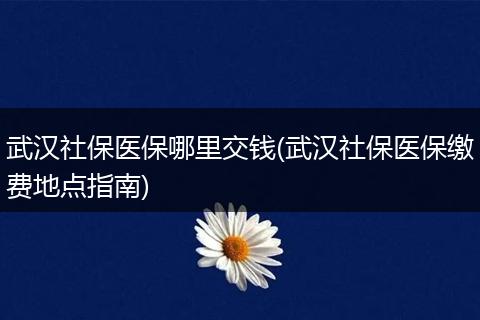 武汉社保医保哪里交钱(武汉社保医保缴费地点指南)