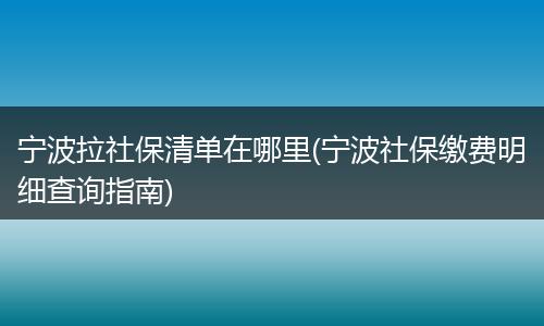 宁波拉社保清单在哪里(宁波社保缴费明细查询指南)